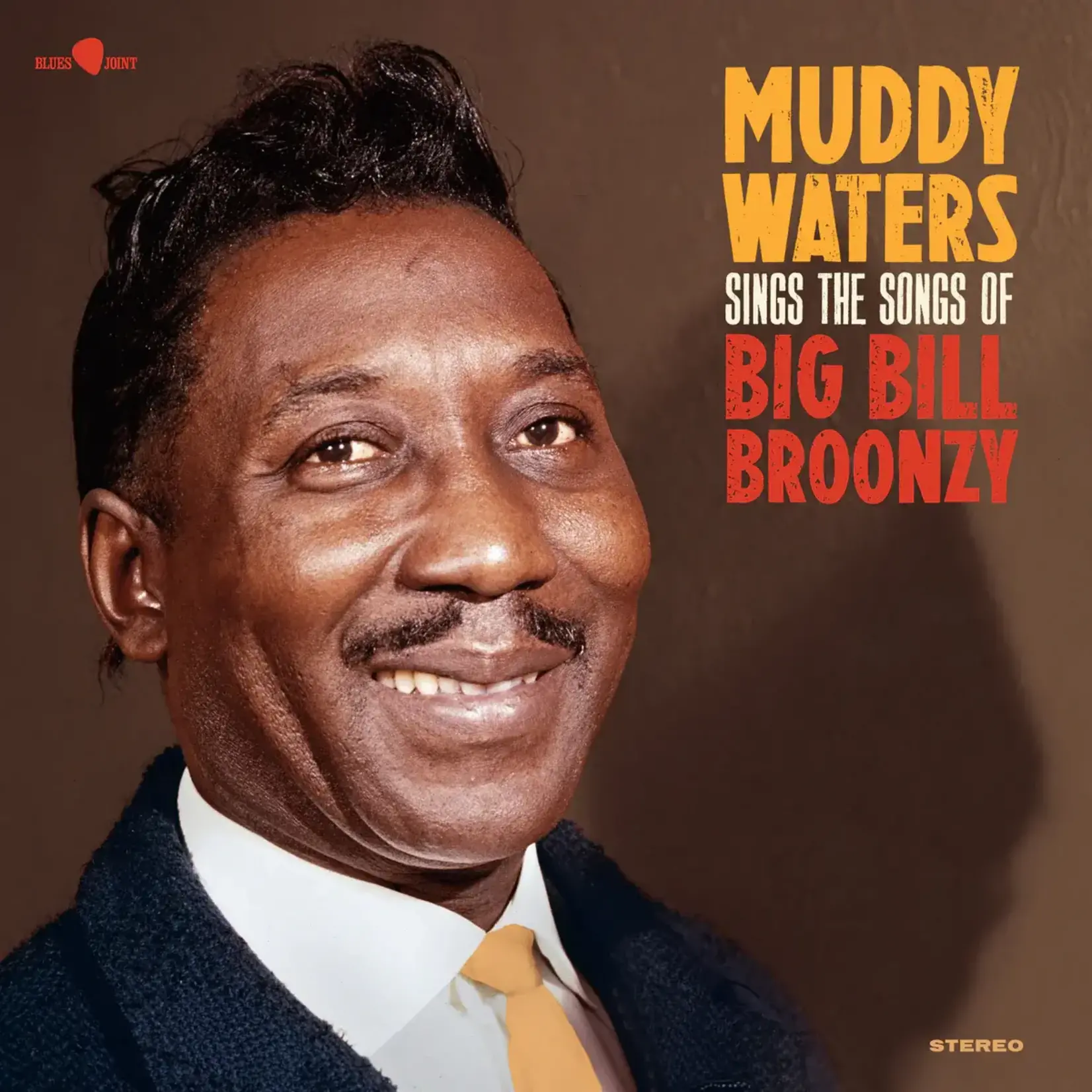 [New Vinyl] Muddy Waters - Sings The Songs Of Big Bill Broonzy (180g, 5 bonus tracks)