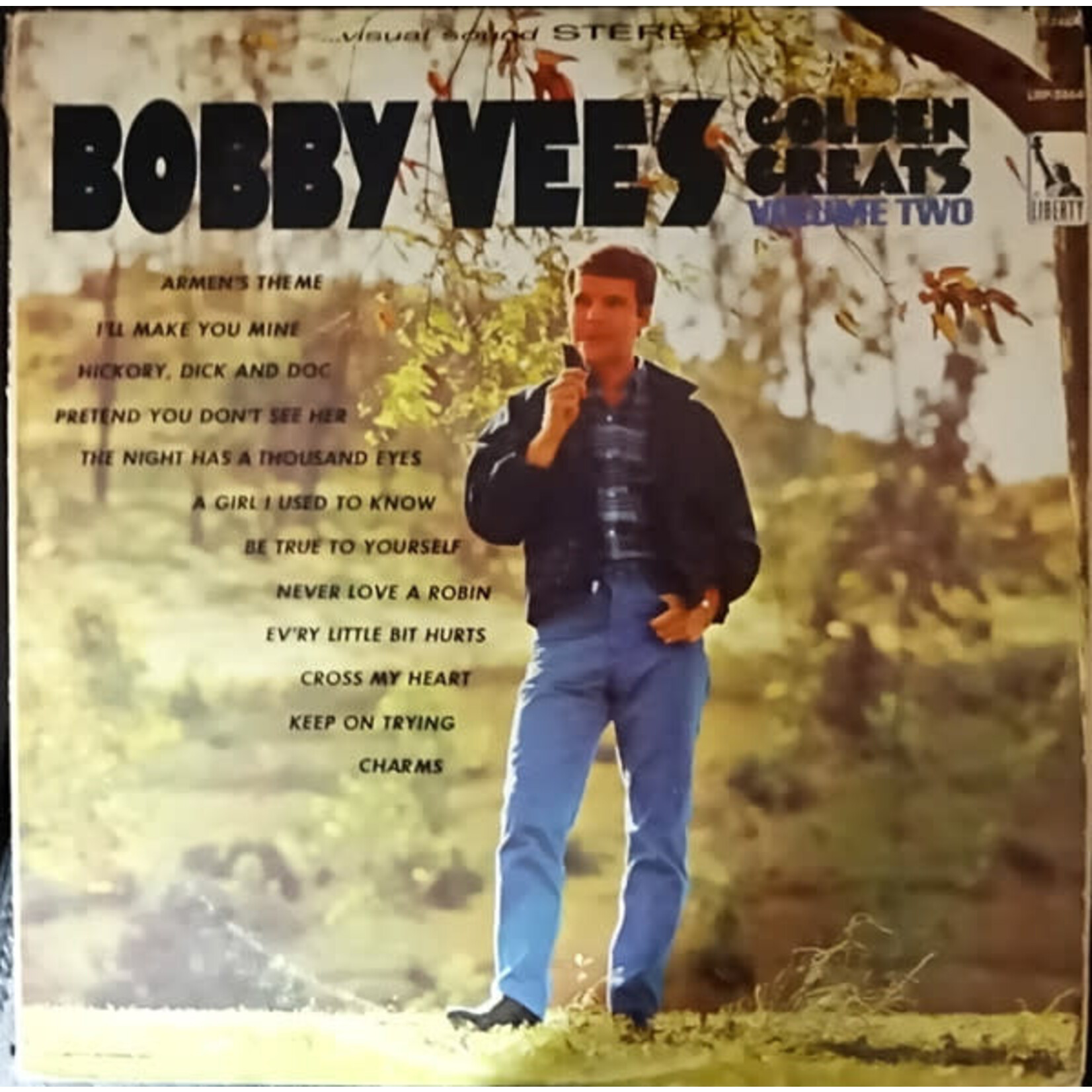 VEE, BOBBY: GOLDEN GREATS VOL.2