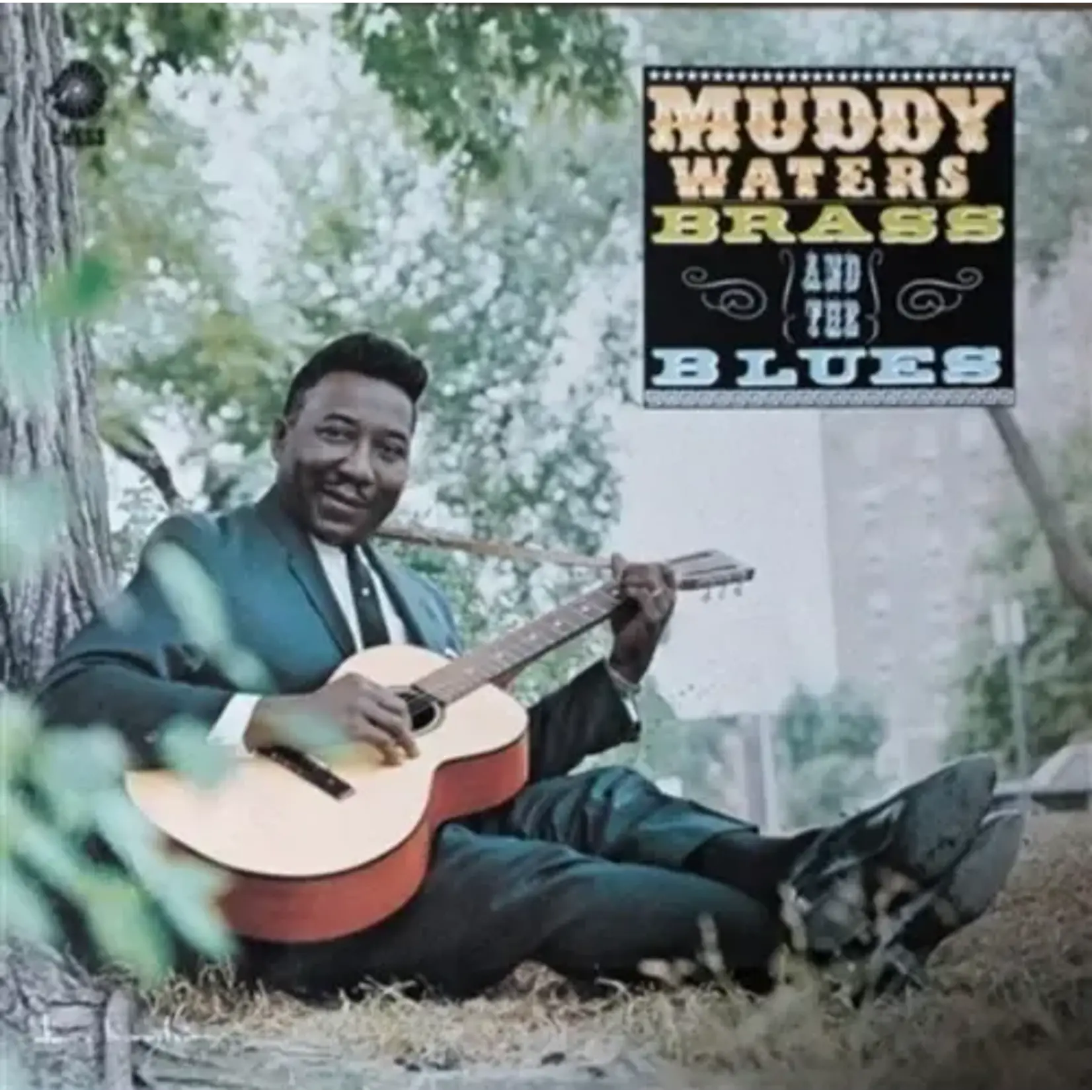 [New] Muddy Waters - Muddy, Brass & The Blues