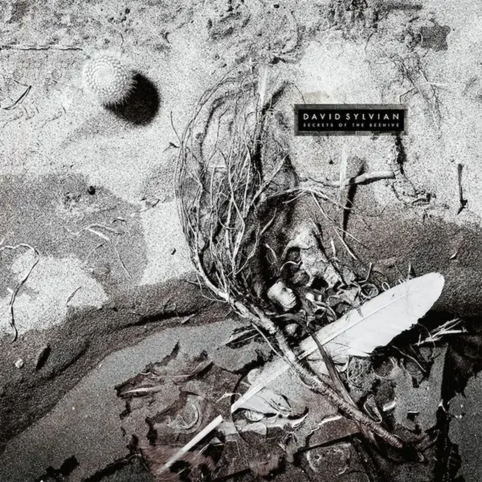 [Vintage Vinyl] Sylvian, David (Japan): Secrets of the Beehive [VINTAGE]