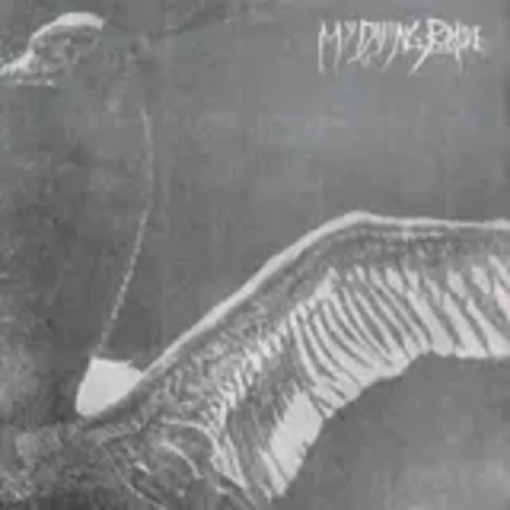 [New] My Dying Bride: Turn Loose The Swans (30th Anniversary Marble Edition) [Peaceville]