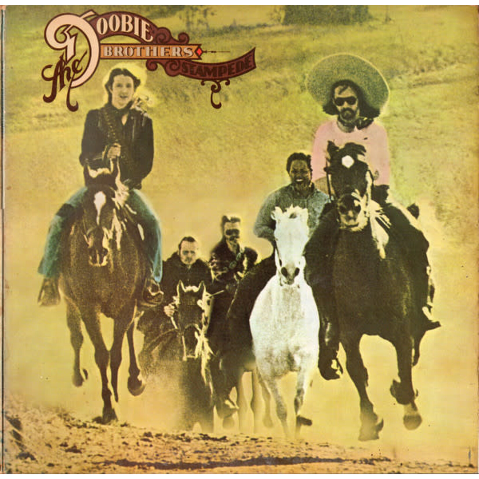 [Vintage Vinyl] Doobie Brothers - Stampede
