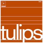 Maston: Tulips [LP, BE WITH RECORDS]