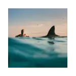 [New Vinyl] Lipa, Dua: Radical Optimism (Clear Vinyl) [WARNER]