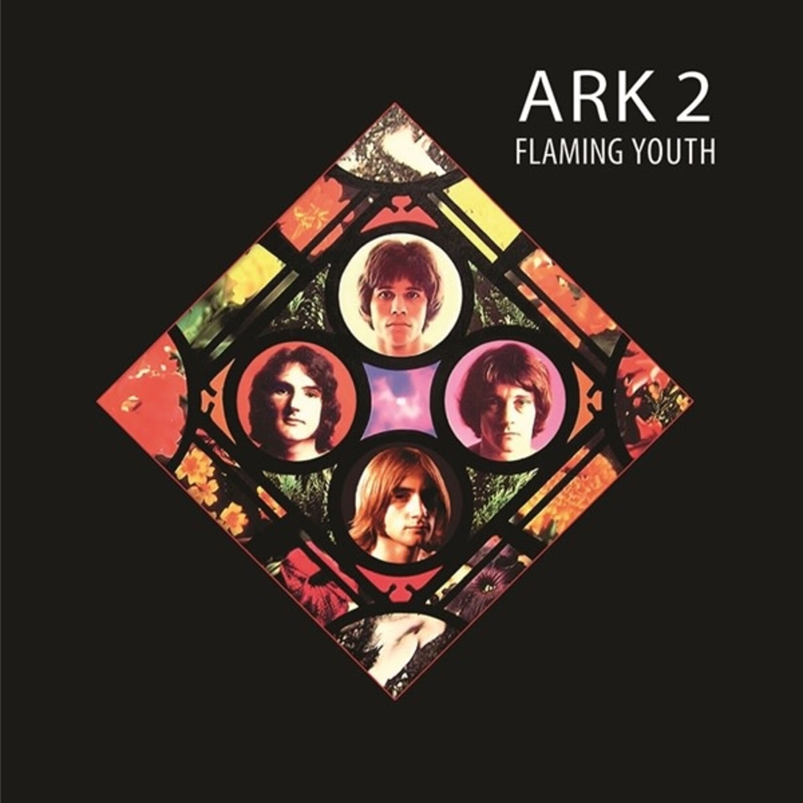 [New] Flaming Youth: Ark 2 (white vinyl) [KLIMT]
