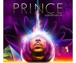 kollectible-vinyl-prince-