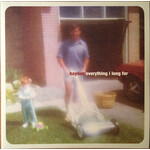 [Kollectible Vinyl] Hayden: Everything I Long For [KOLLECTIBLES]
