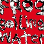 [New Vinyl] DIIV: Frog in Boiling Water [FANTASY]