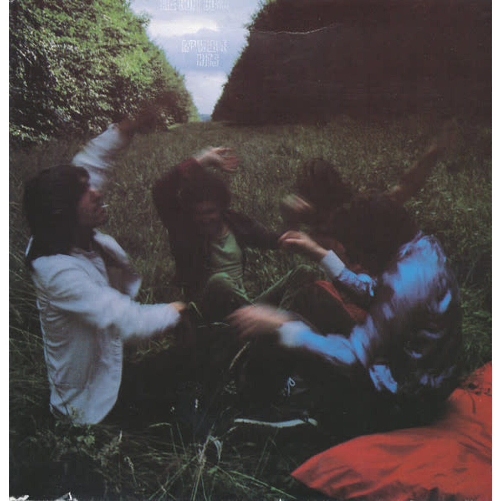 [Kollectible Vinyl] Soft  Boys, The:  Invisible Hits [KOLLECTIBLE]