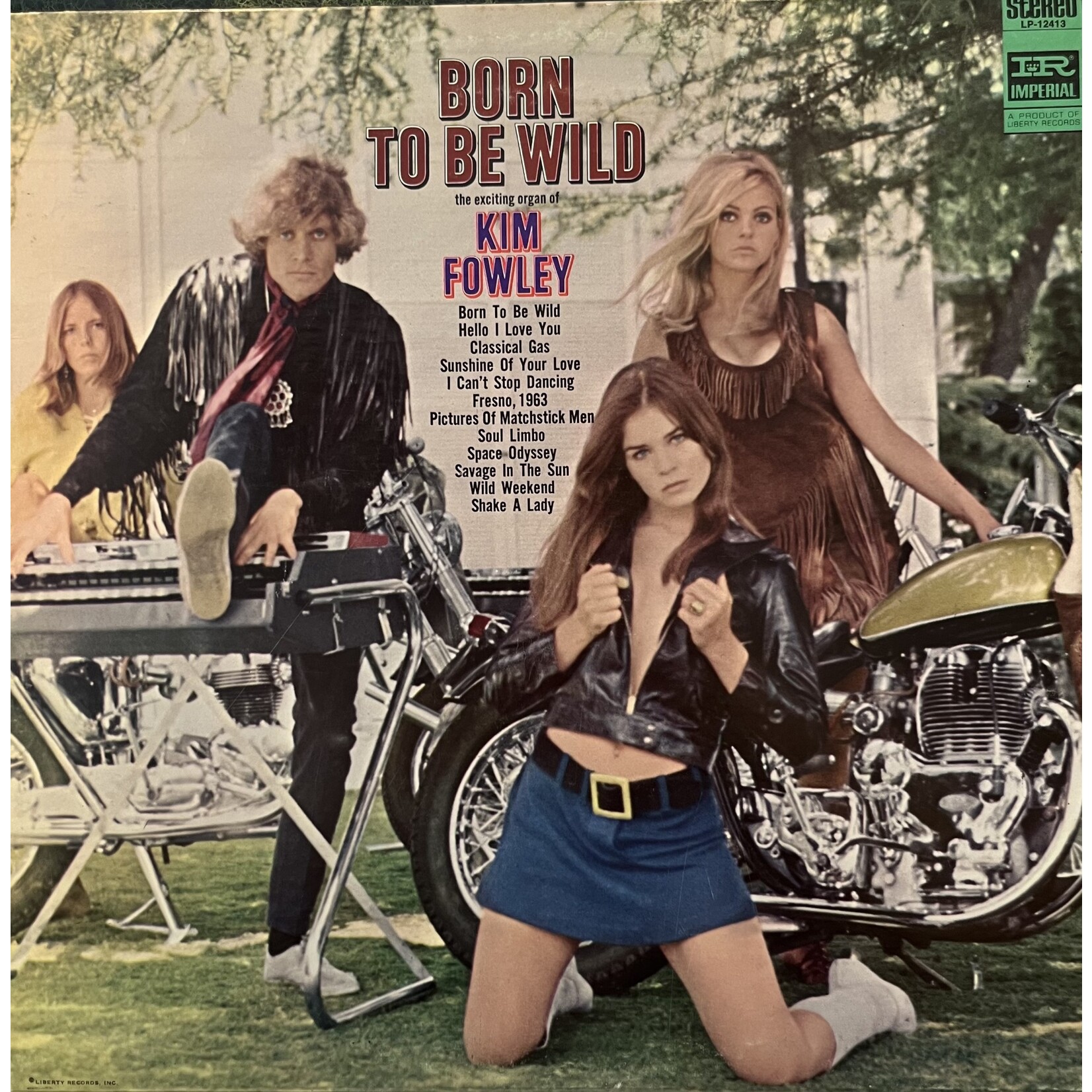 [Kollectible Vinyl] Fowley, Kim: Born To Be Wild [KOLLECTIBLES]