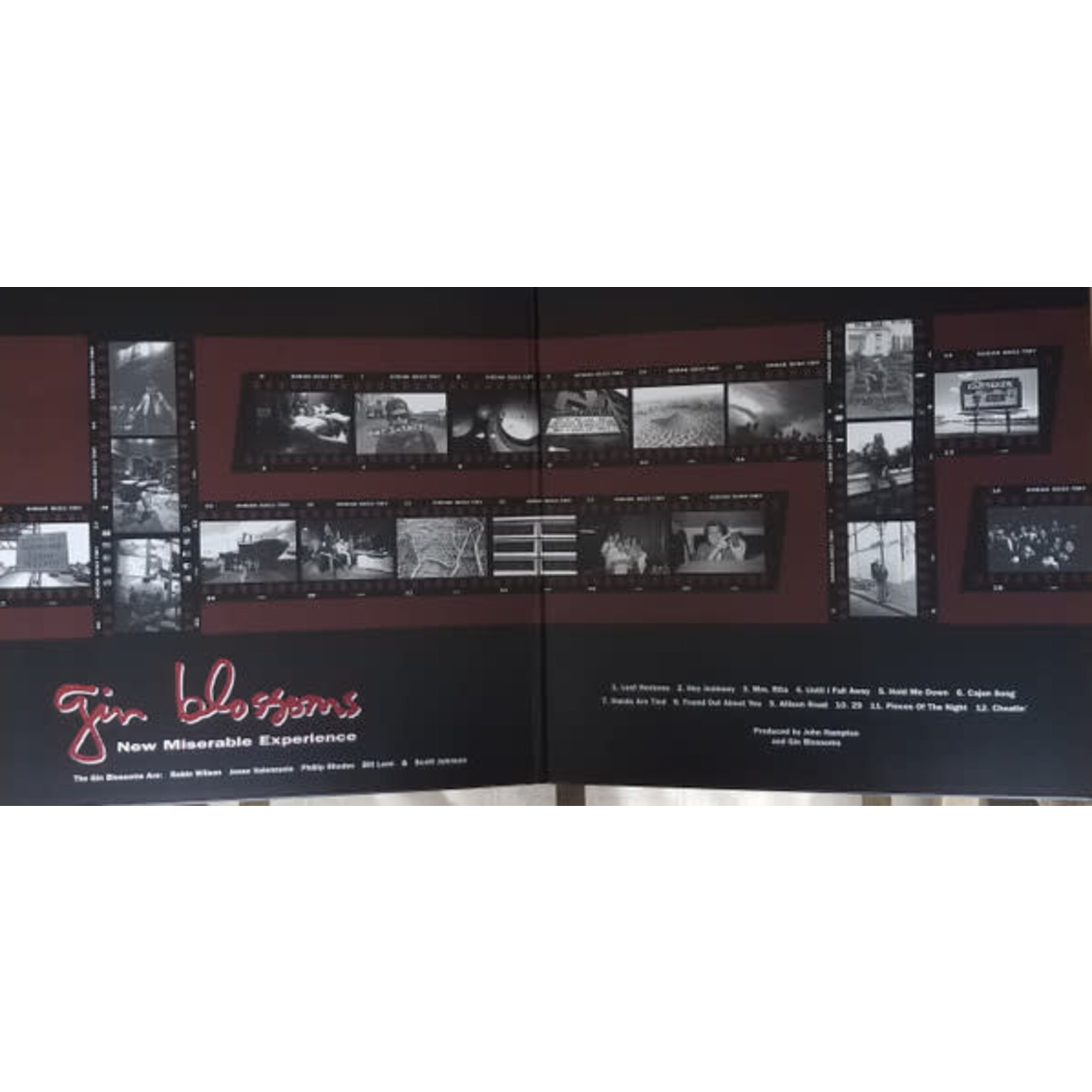 [Kollectible Vinyl] Gin Blossoms: New Miserable Experience [KOLLECTIBLES]