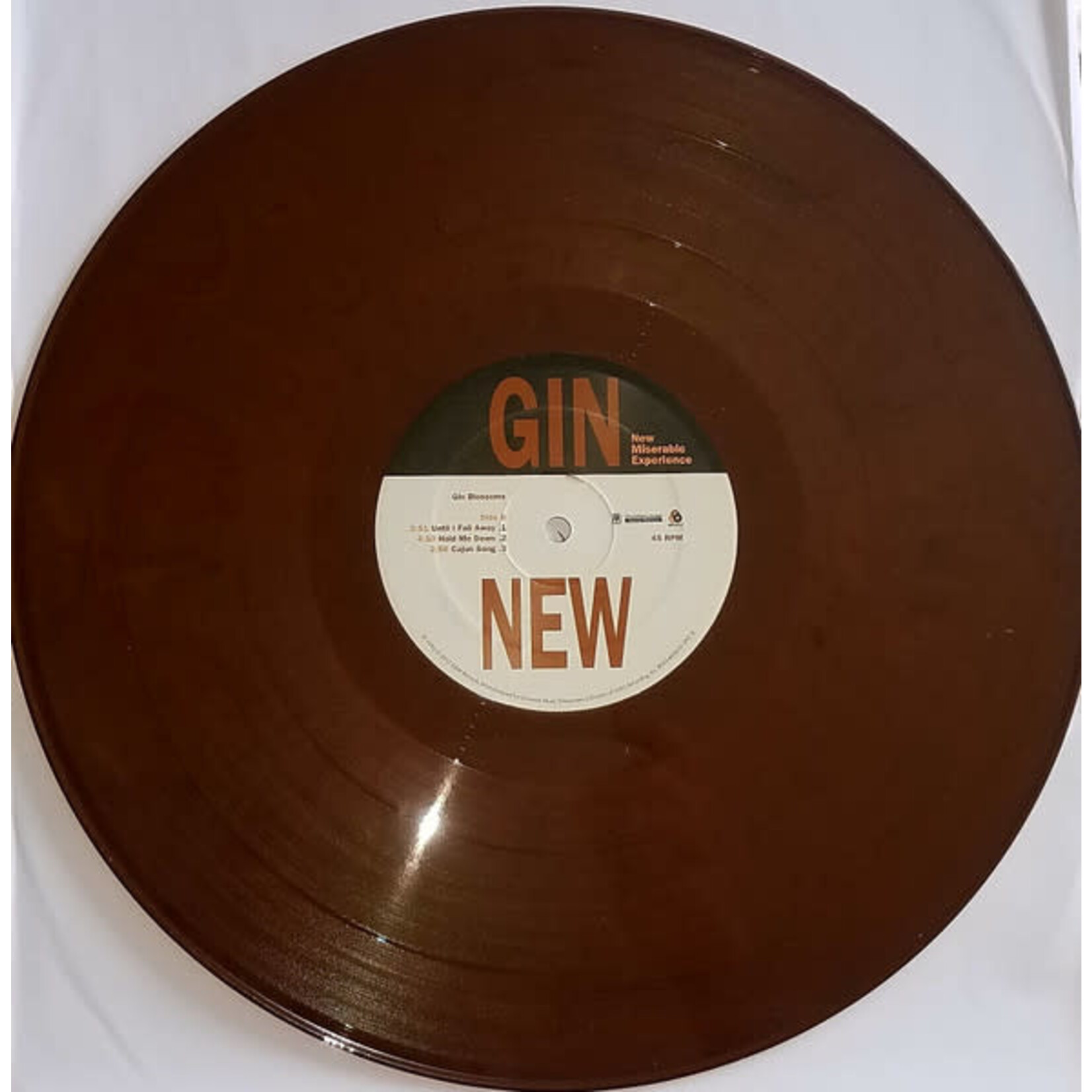 [Kollectible Vinyl] Gin Blossoms: New Miserable Experience [KOLLECTIBLES]