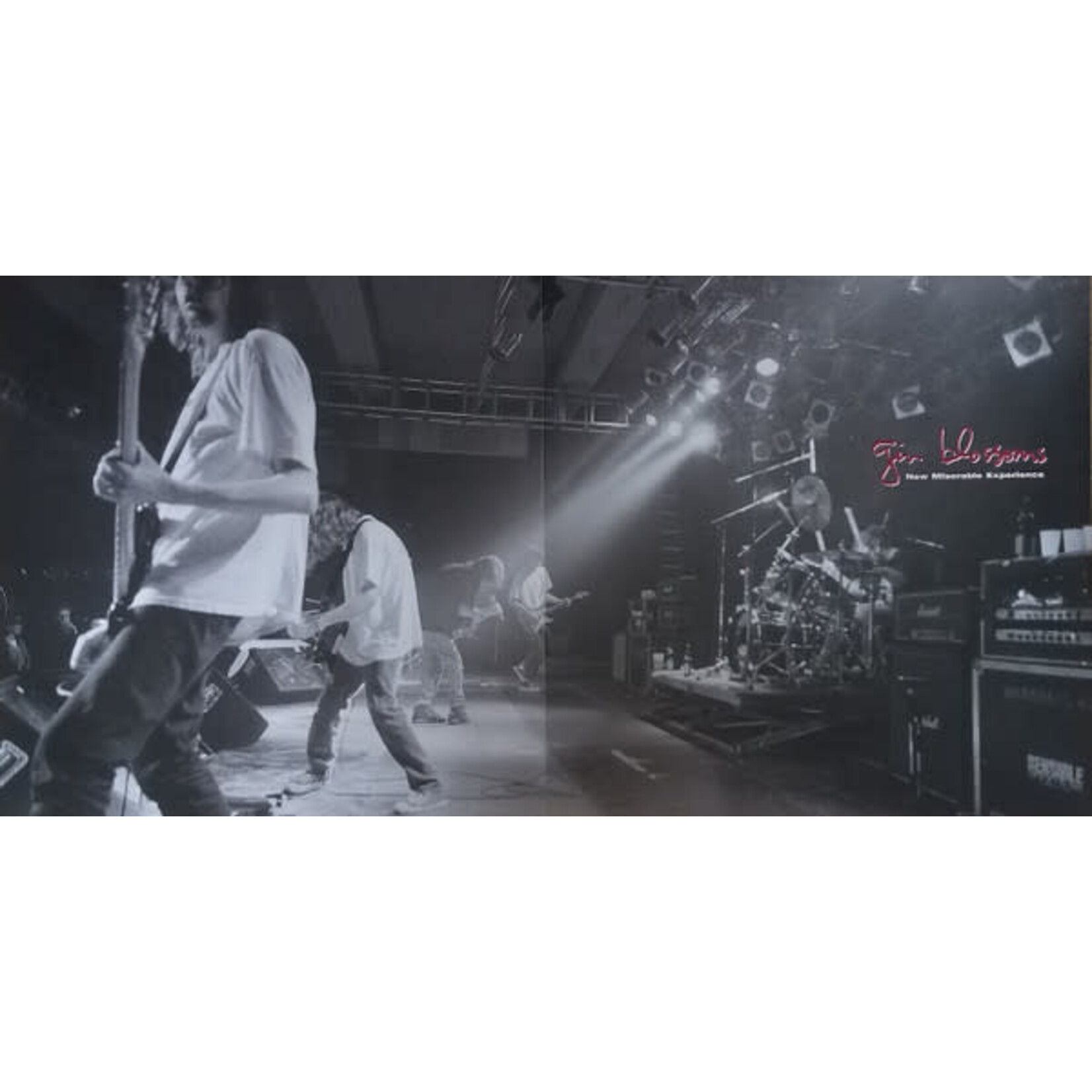 [Kollectible Vinyl] Gin Blossoms: New Miserable Experience [KOLLECTIBLES]