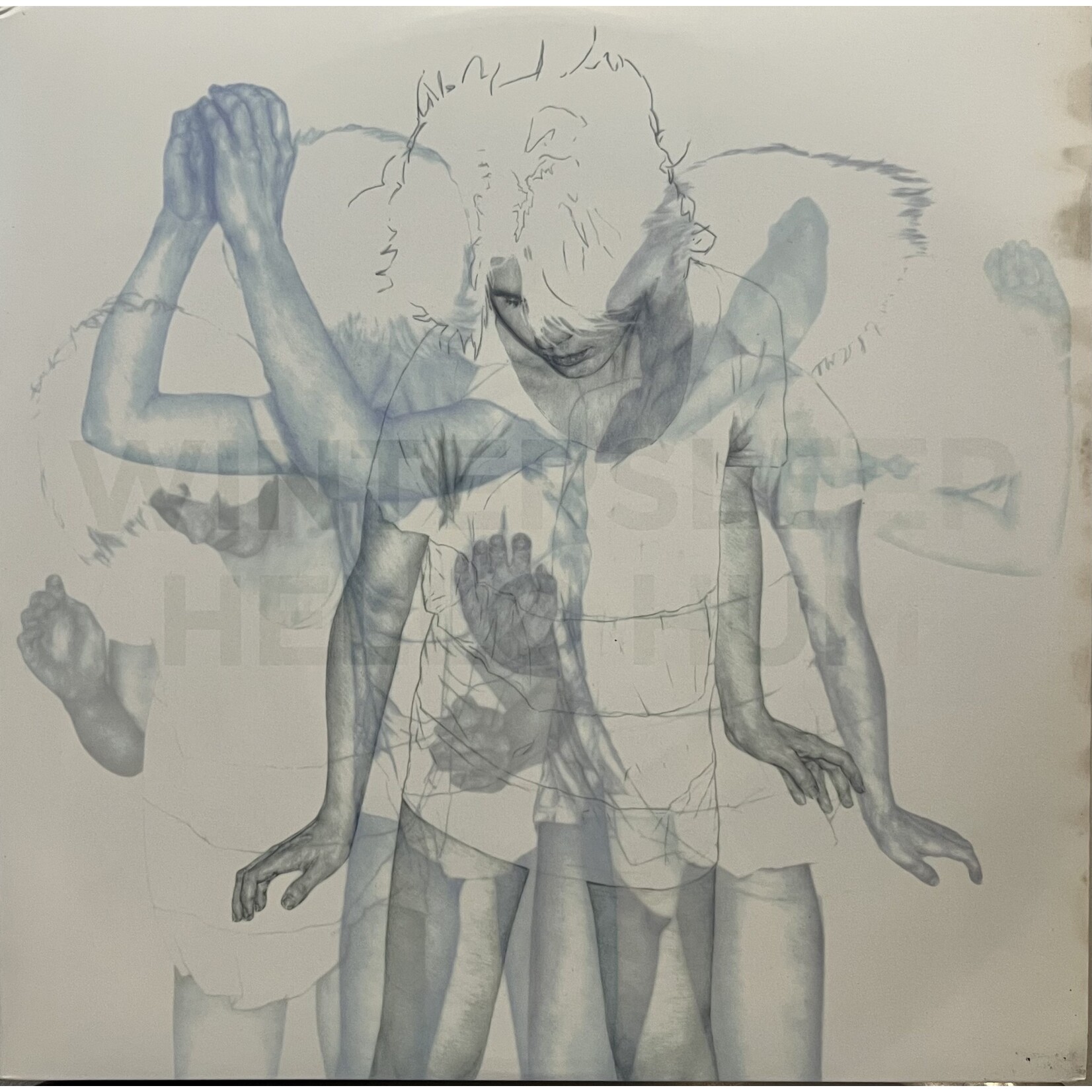 [Kollectible Vinyl] Wintersleep: Hello Hum [KOLLECTIBLES]