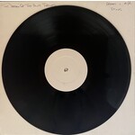 [Kollectible Vinyl] Sting: The Dream Of The Blue Turtles (Promo) [KOLLECTIBLE]