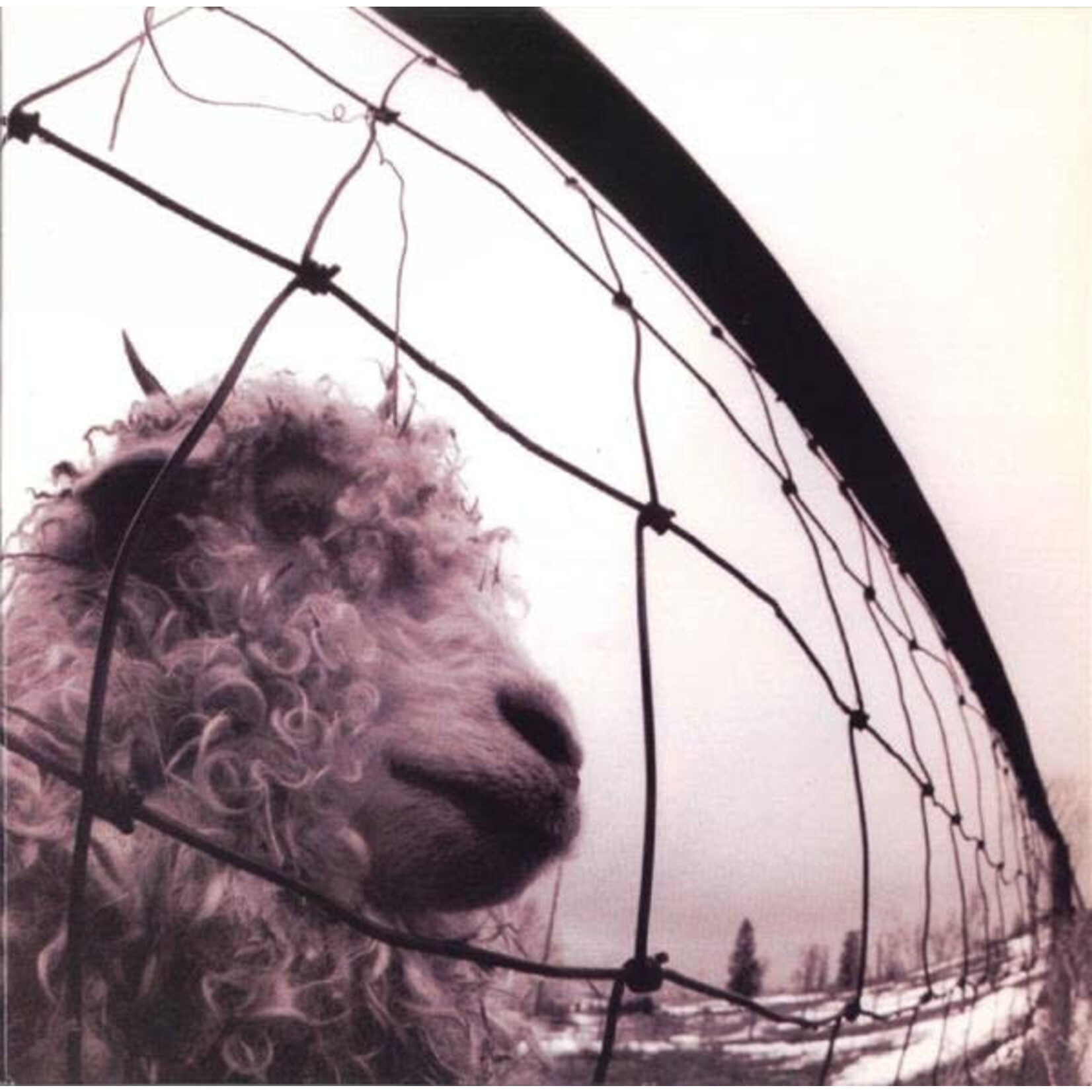 [Kollectible Vinyl] Pearl Jam: Vs [KOLLECTIBLE]