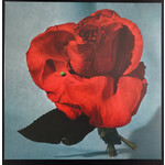 [New Vinyl] METZ: Up On Gravity Hill (Standard Half Red/Half Black Vinyl) [Dine Alone Music Inc.]