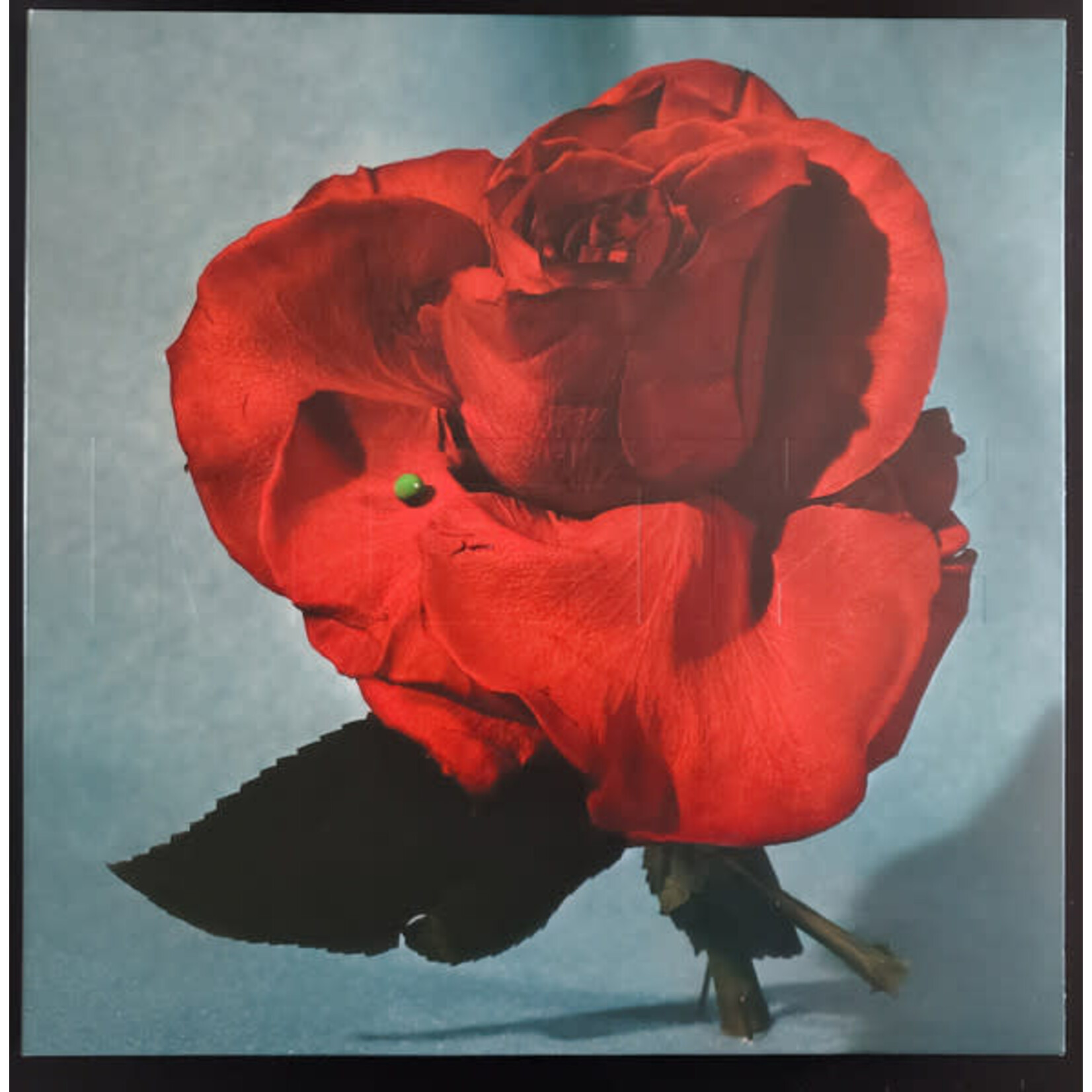 [New Vinyl] METZ: Up On Gravity Hill (Standard Half Red/Half Black Vinyl) [Dine Alone Music Inc.]