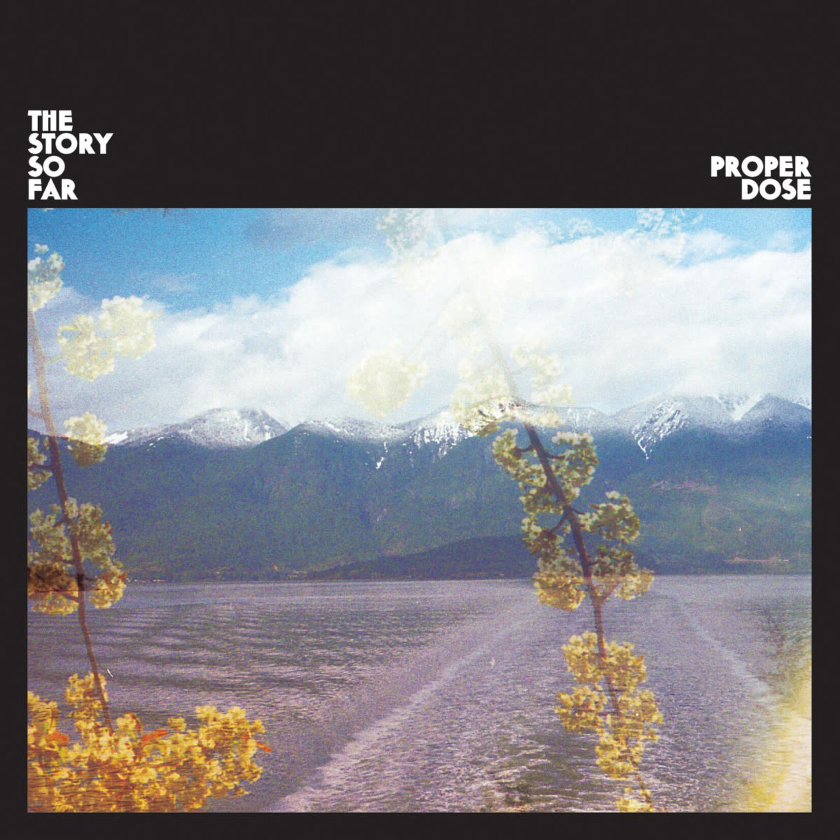 The Story So Far: Proper Dose (Lavender Eco Mix) [Pure Noise Records]
