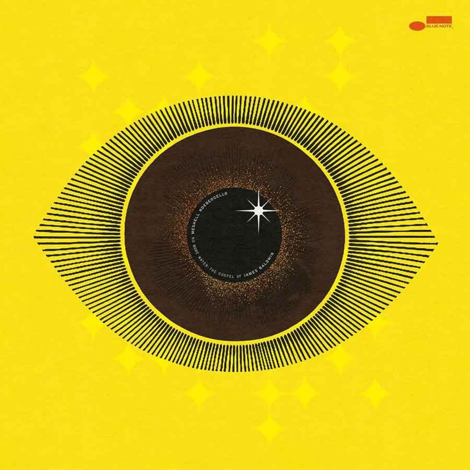 Ndegeocello, Me'Shell: No More Water - The Gospel of James Baldwin (2LP) [BLUE NOTE / EMI]