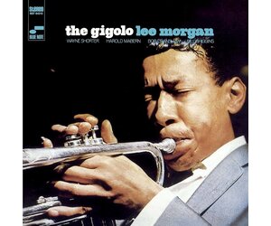 morgan-lee-the-gigolo-blue-
