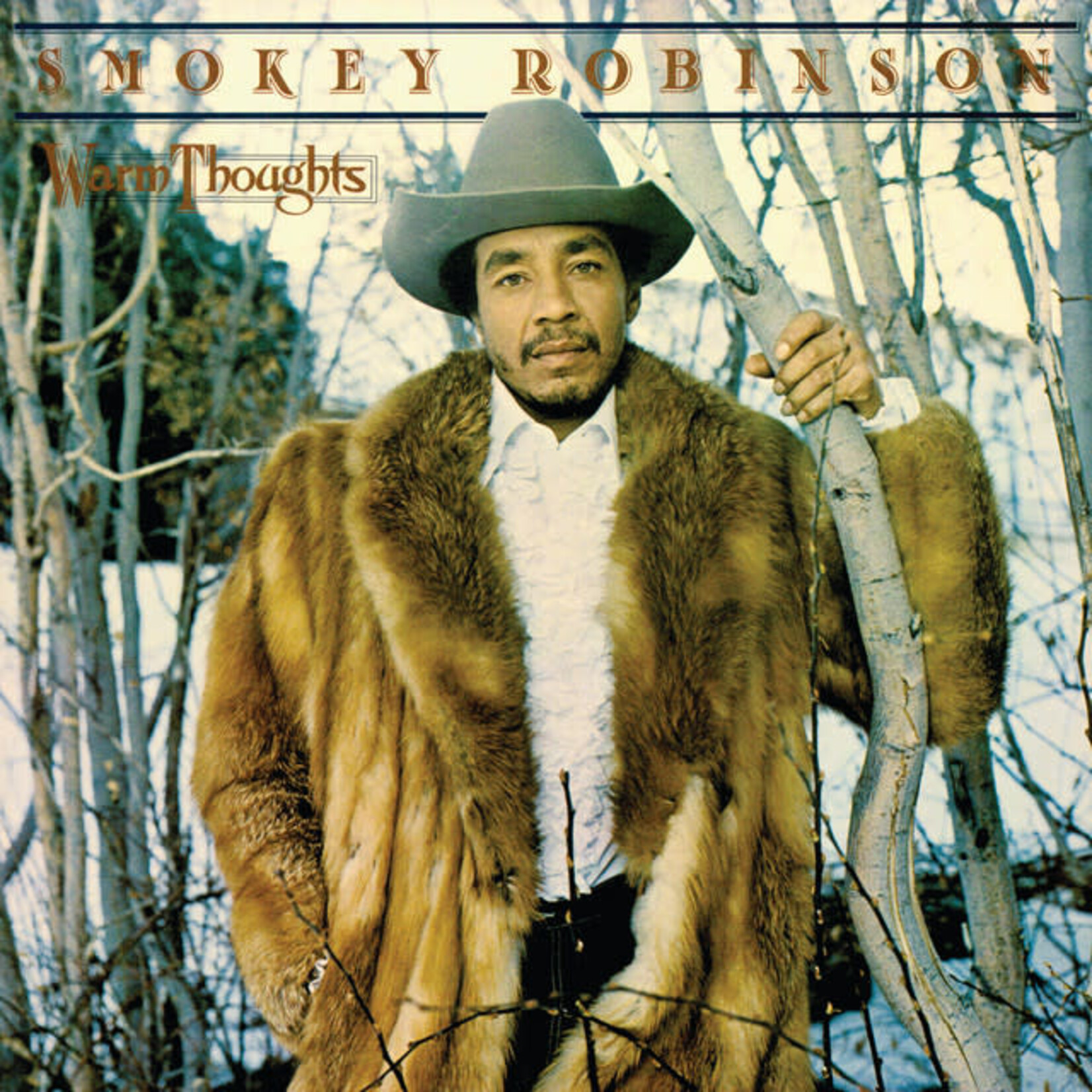 [Vintage Vinyl] Robinson, Smokey: Warm Thoughts [VINTAGE]