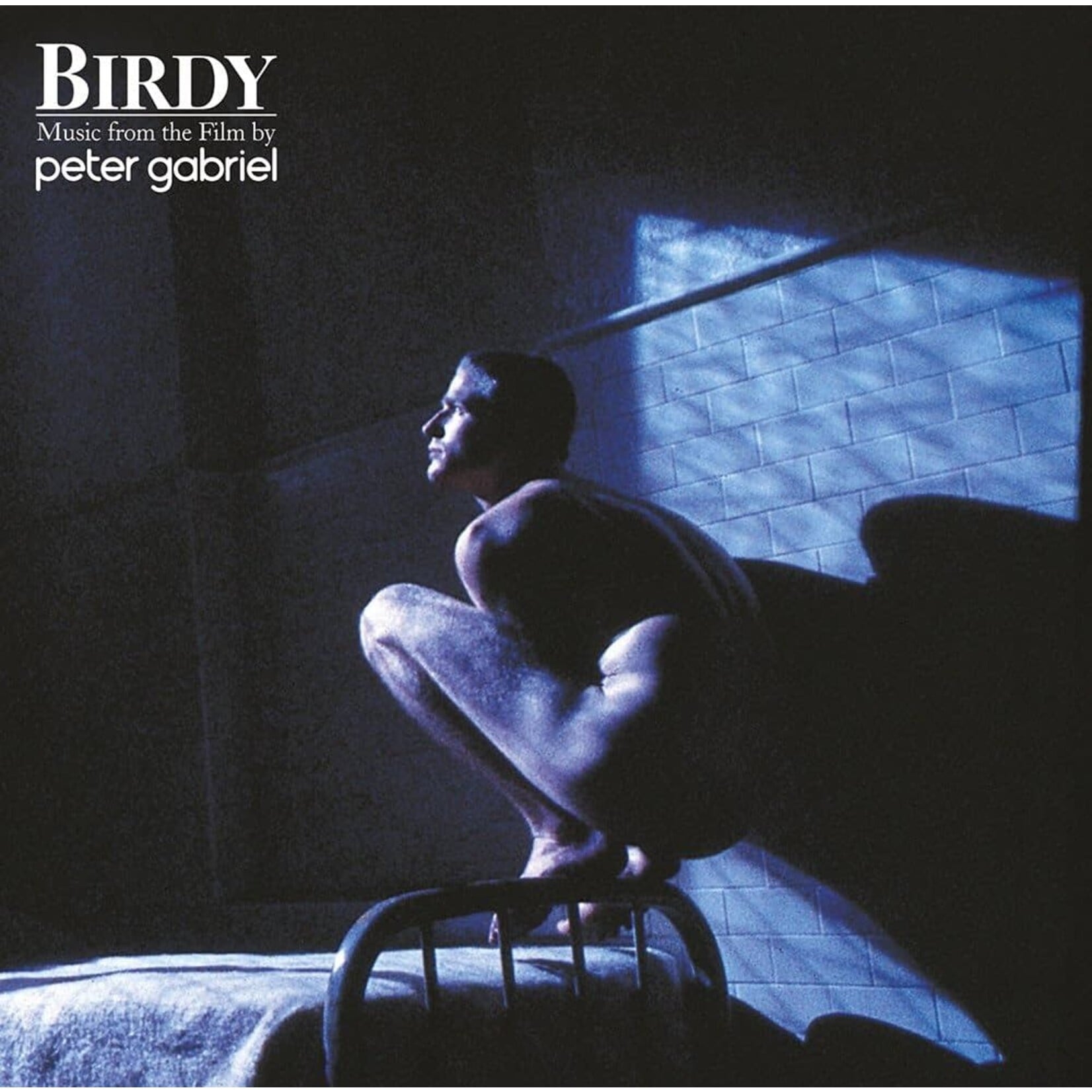 Peter Gabriel - Birdy (soundtrack)