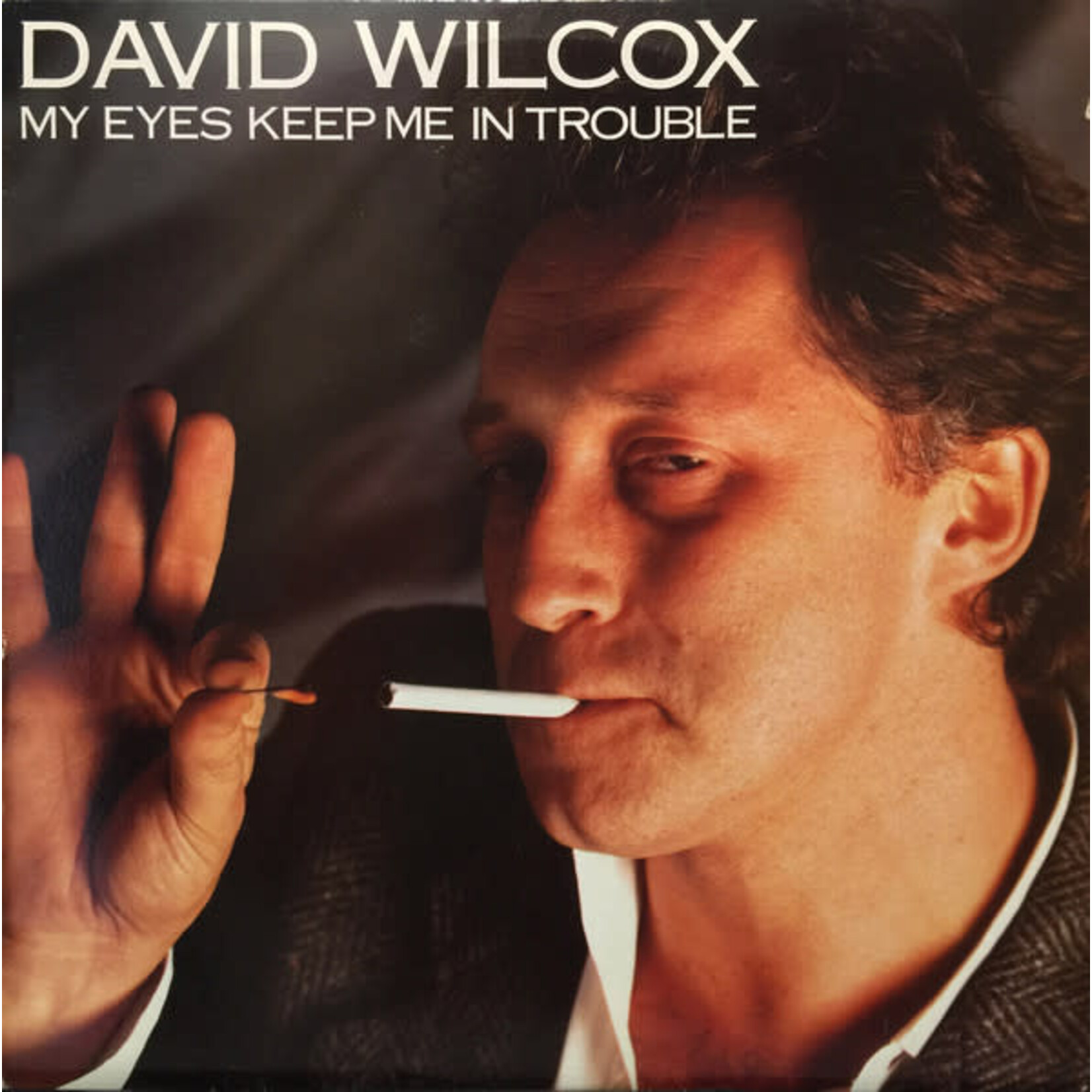 Wilcox, David: My Eyes Keep Me in Trouble [VINTAGE]