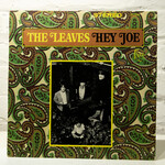 [Nick's Disk Pics] Leaves: Hey Joe! [MIRA]