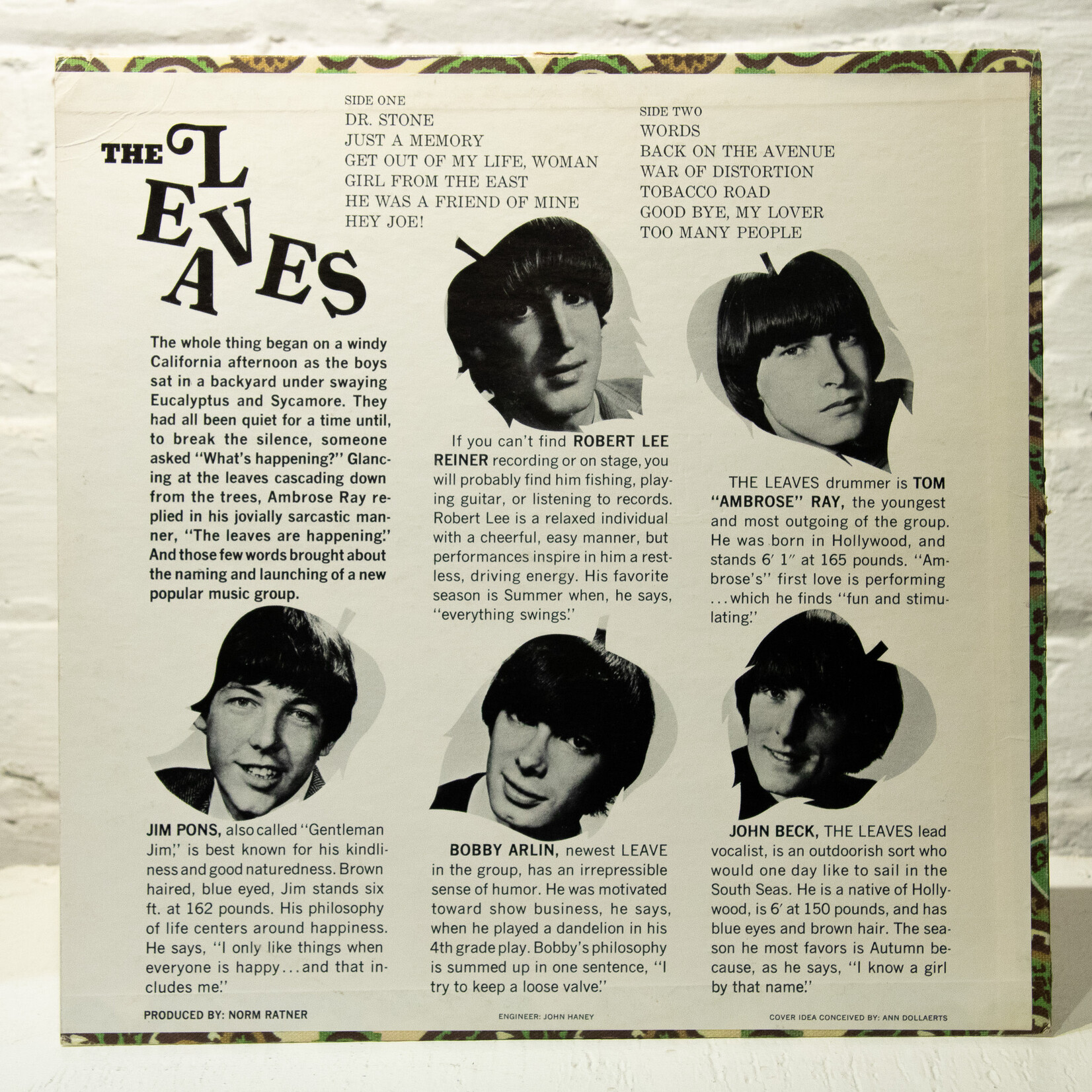 [Nick's Disk Pics] Leaves: Hey Joe! [MIRA]
