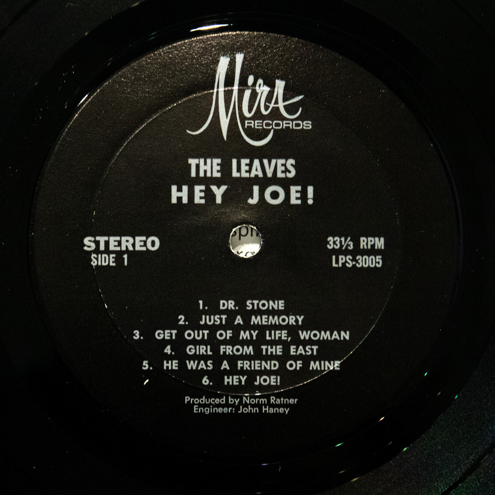 [Nick's Disk Pics] Leaves: Hey Joe! [MIRA]