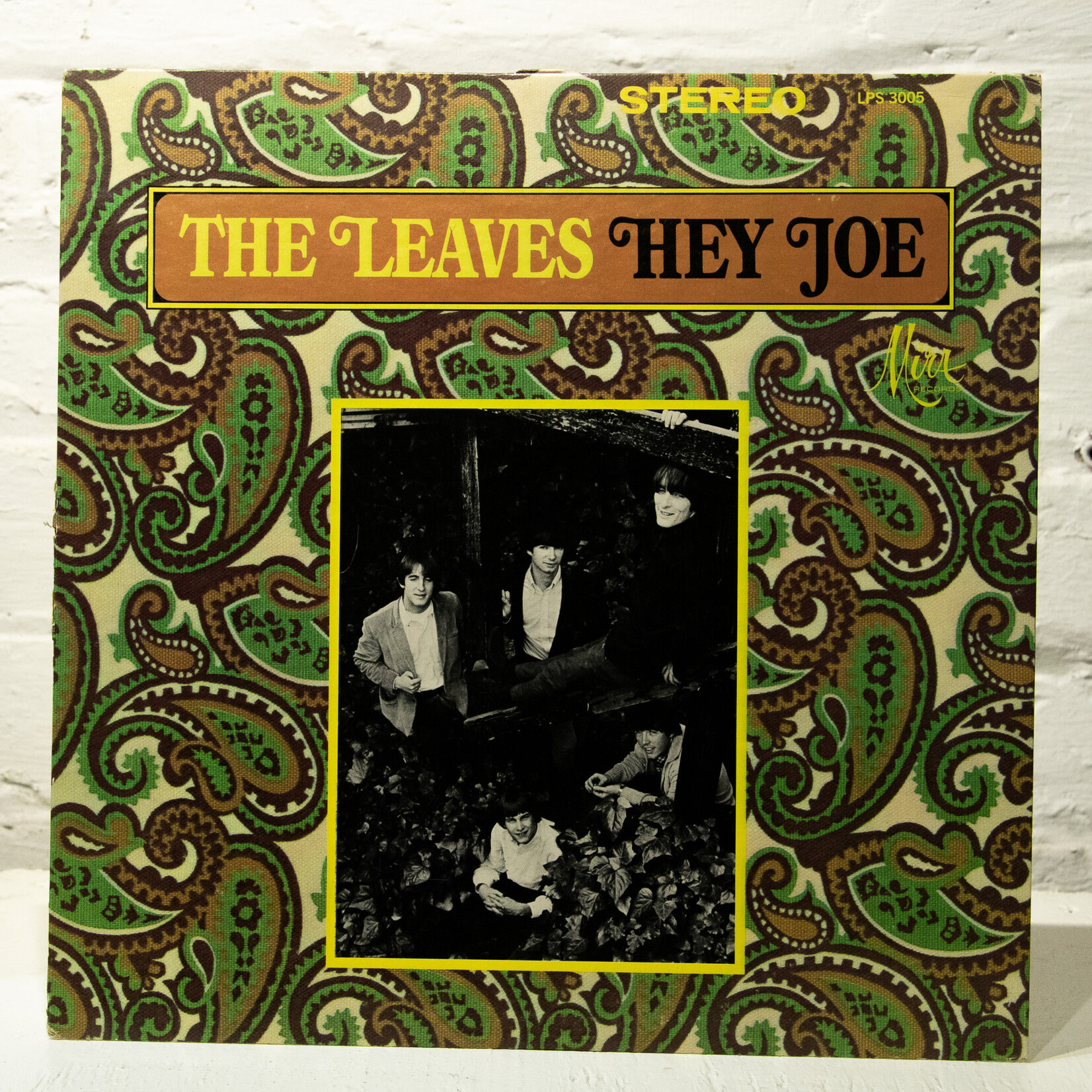 [Nick's Disk Pics] Leaves: Hey Joe! [MIRA]