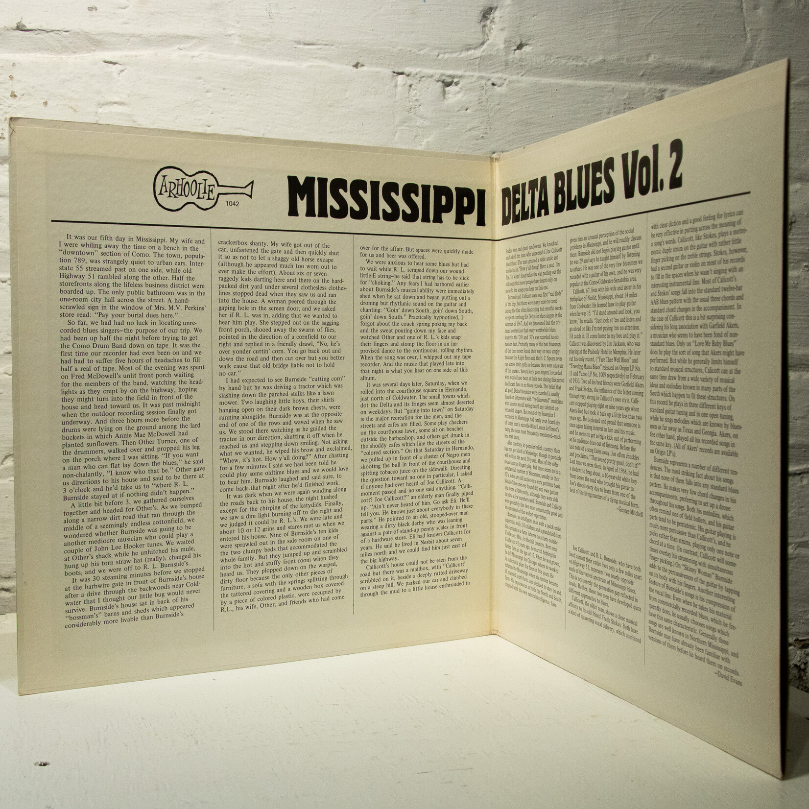 [Nick's Disk Pics] V/A: Mississippi Delta Blues Vol.2 [ARHOOLIE]