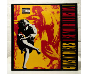 ポップス+ロック(洋楽) Guns And Roses Use Your Illusion GUNS N' ROSES（ガンズ・アンド・ローゼズ）、『Use Your