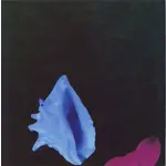 [New] New Order: Touched By The Hand Of God [Warner]