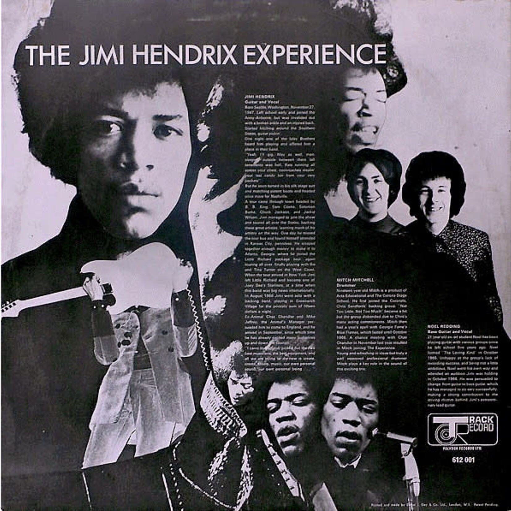 [Kollectible Vinyl] Hendrix, Jimi: Are You Experienced [TRACK]