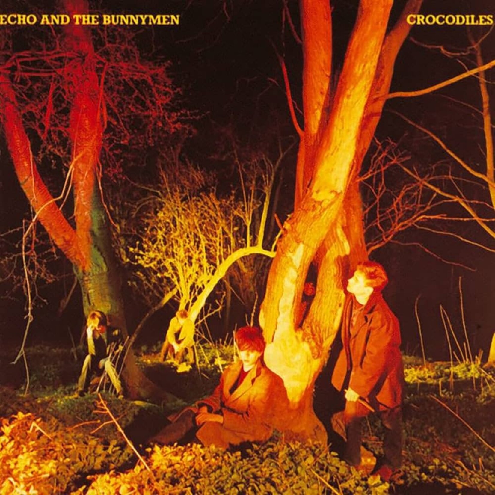 Echo & the Bunnymen: Crocodiles [VINTAGE]