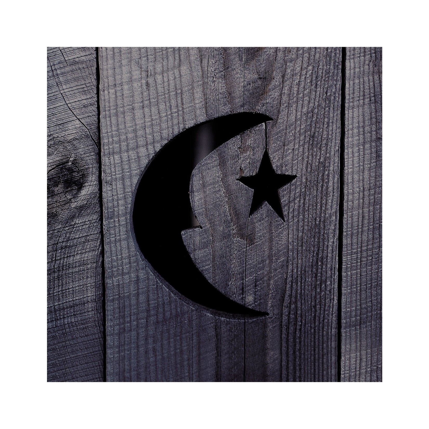 [New Vinyl] Phish: Farmhouse [Warner]