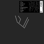 [New] Jaar, Nicolas: Piedras 1 & 2 (2LP) [OTHER PEOPLE]