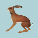 [New] Bunyan, Vashti: Lookaftering (2LP/expanded edition) [DICRISTINA STAIR BUILDERS]