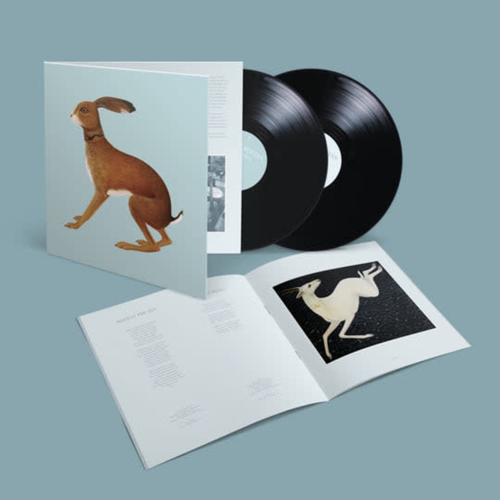 [New] Bunyan, Vashti: Lookaftering (2LP/expanded edition) [DICRISTINA STAIR BUILDERS]