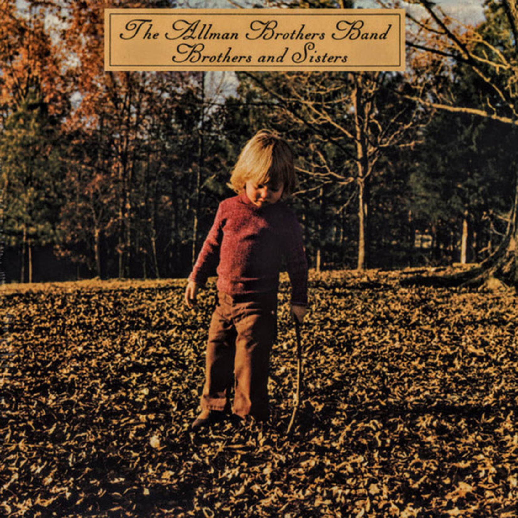[New Vinyl] Allman Brothers Band - Brothers & Sisters