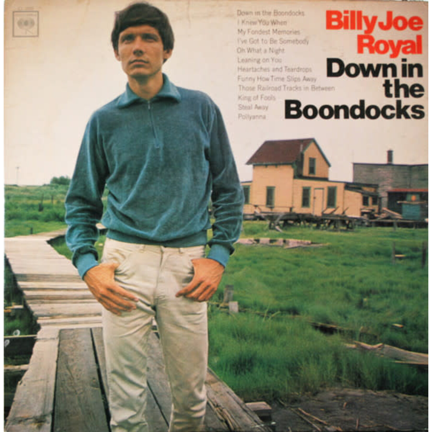 Royal, Billy Joe: Down in the Boondocks [VINTAGE]