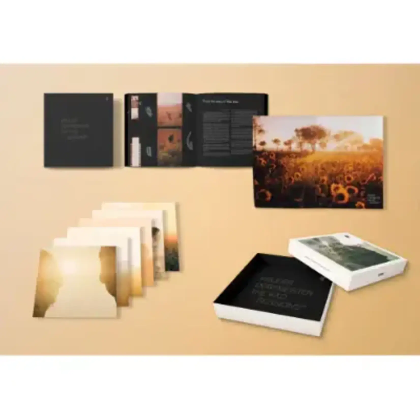 [New Vinyl] Kruder & Dorfmeister: The K&D Sessions (25th-anniversary deluxe box set) [!K7]