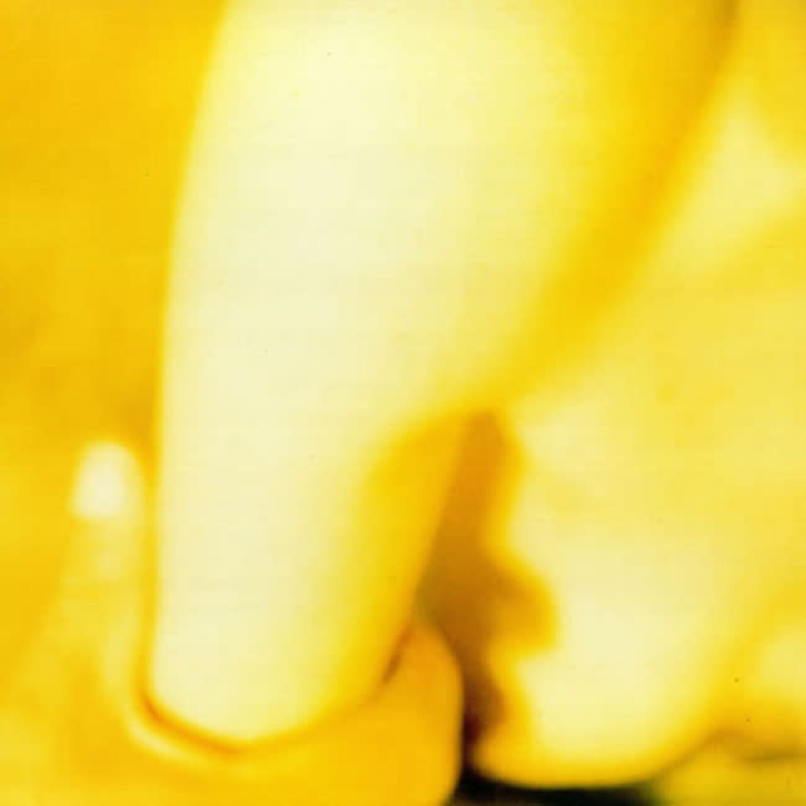 [New] Smashing Pumpkins: Pisces Iscariot (2LP, 180g) [VIRGIN]
