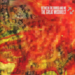 Between The Buried And Me: The Great Misdirect (2LP) [CRAFT ]