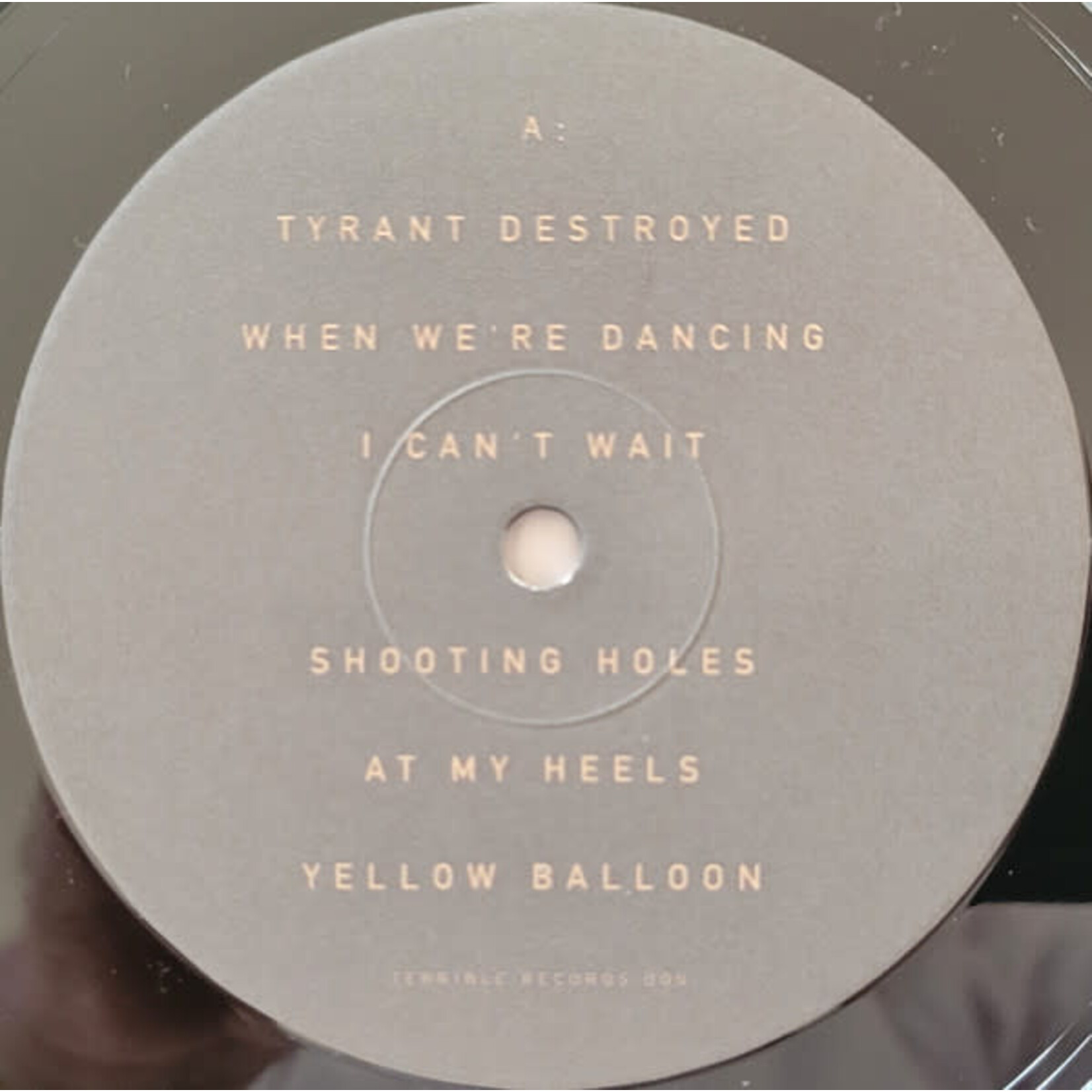 [Nick's Disk Pics] Twin Shadow: Forget [TERRIBLE RECORDS] (2010, USA, VG+)