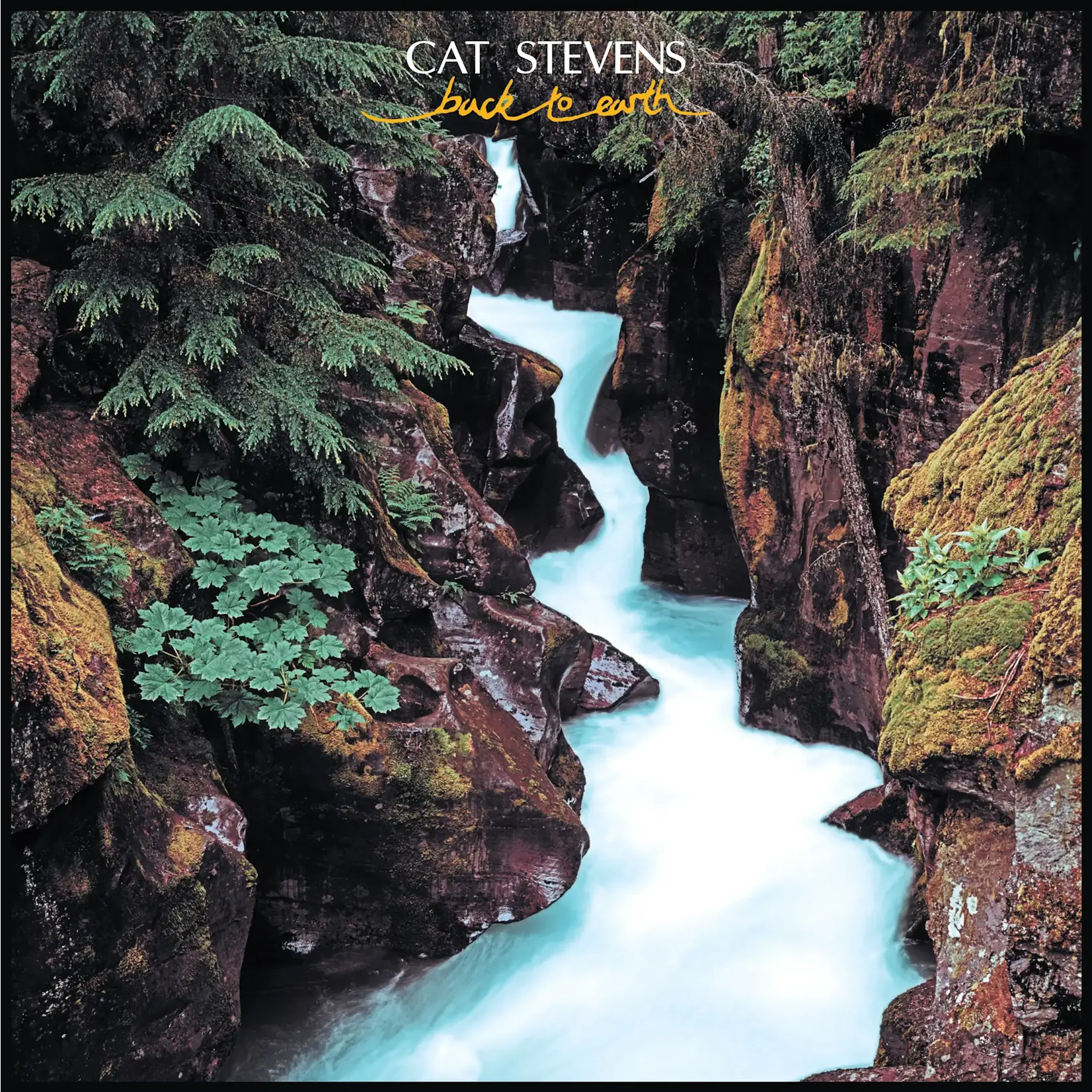 Stevens, Cat: Back to Earth [VINTAGE]
