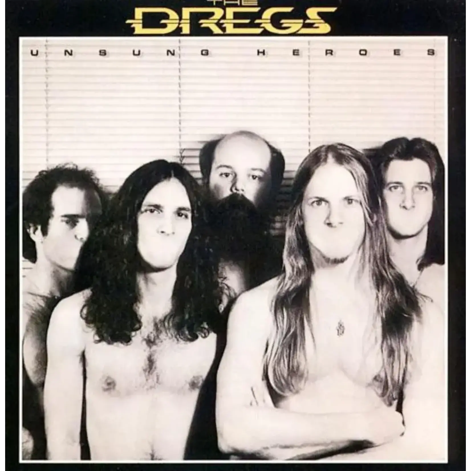 Dixie Dregs: Unsung Heroes [VINTAGE]
