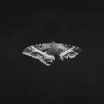 Kendrick Lamar - To Pimp A Butterfly (2LP, Metallic Vinyl, 10 Year Anniversary Edition)